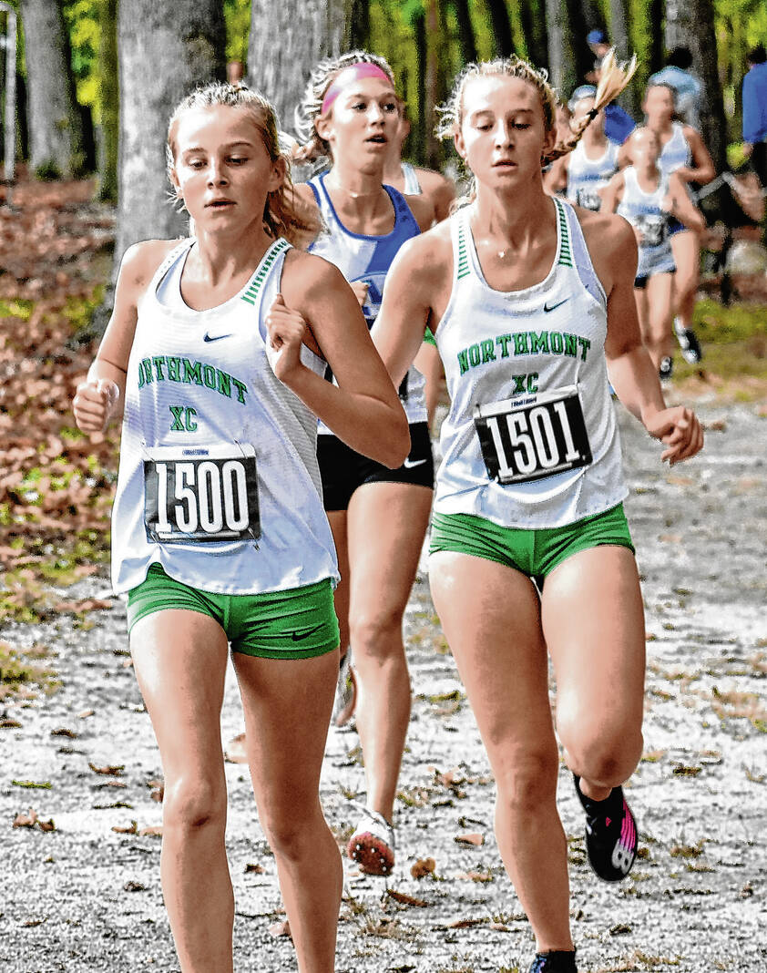 Lady Bolts 4th, boys 5th in GWOC finals The Register Herald