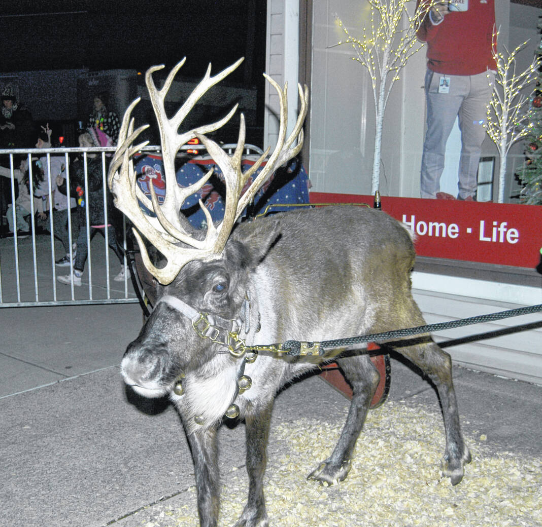 Brookville holds Christmas tree lighting The Register Herald